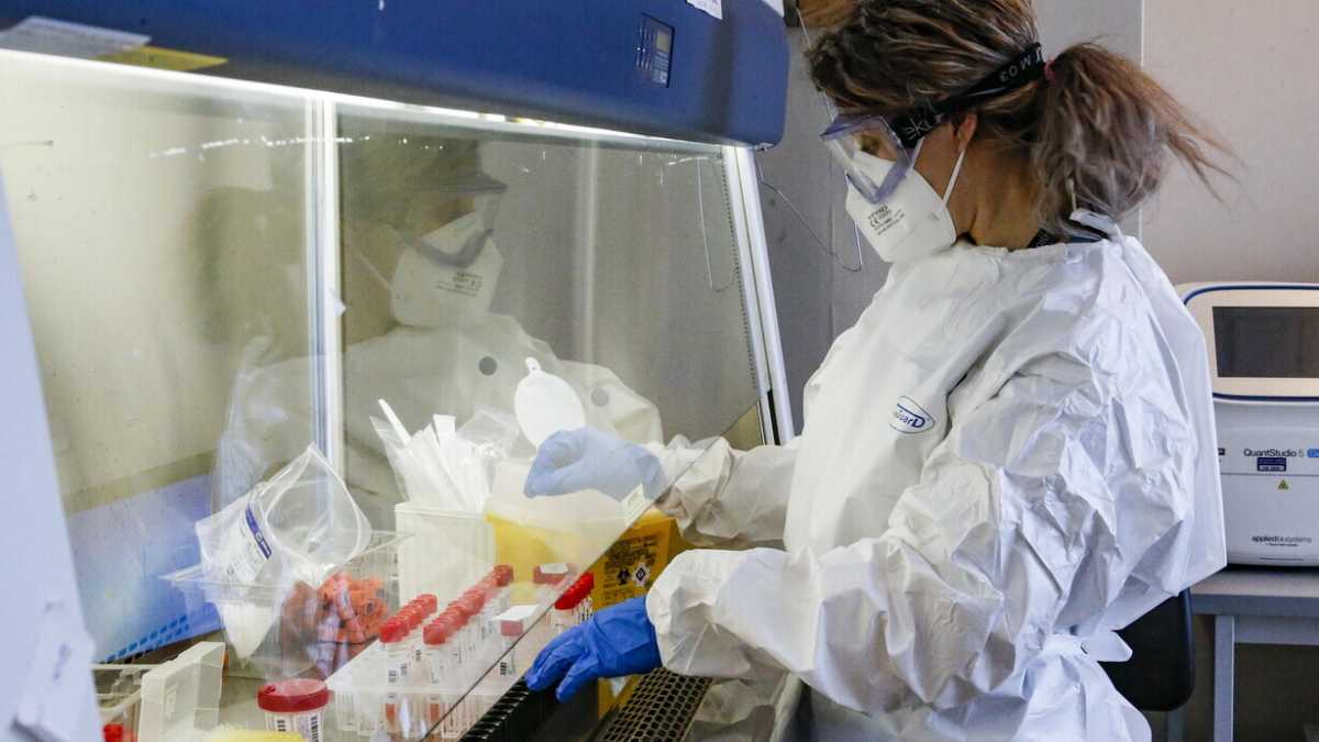 Immagine di I soggetti “resistenti” possono insegnarci come difenderci dal Covid