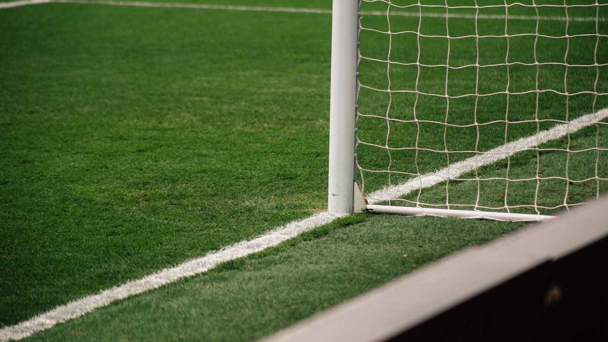Immagine di A chi appartiene il calcio?