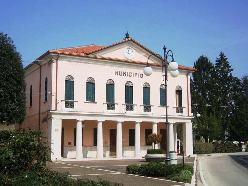 Wikimedia Commons <br />