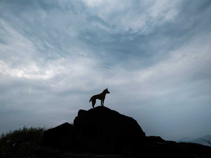 Photo by Patrick Desloge on Unsplash <br />