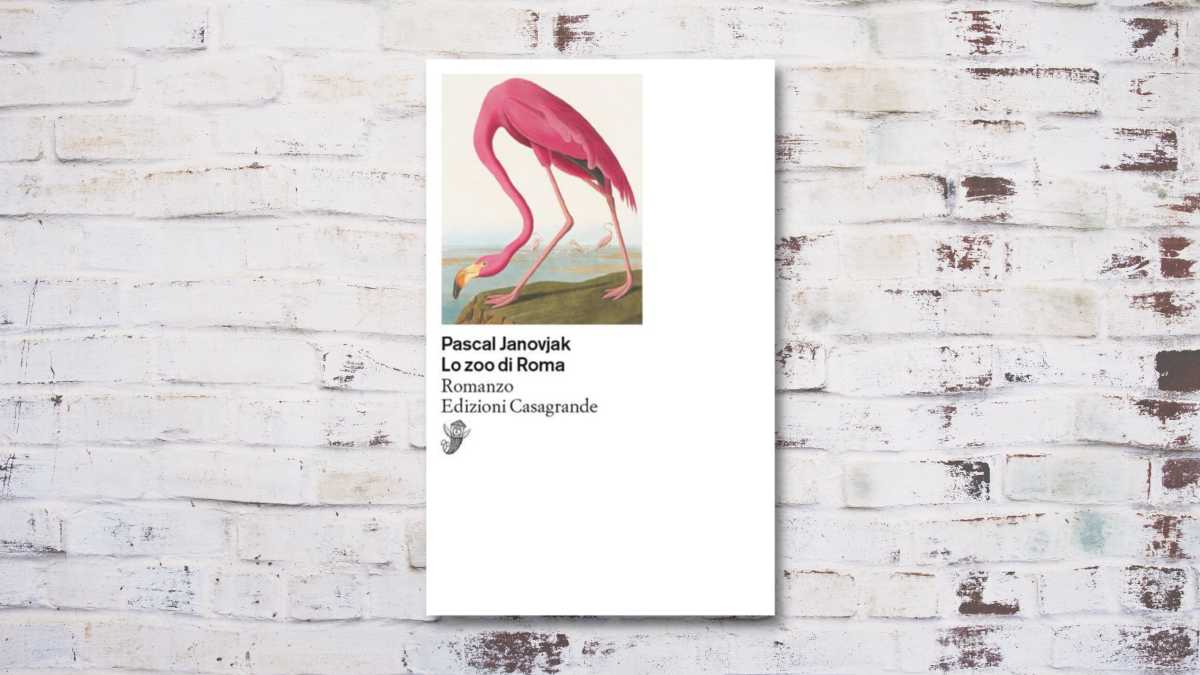 Immagine di Lo zoo di Roma