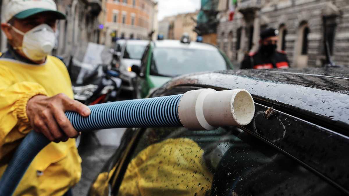 Immagine di Gli insetti sono il modello degli specialisti che sanno parlare di una cosa soltanto