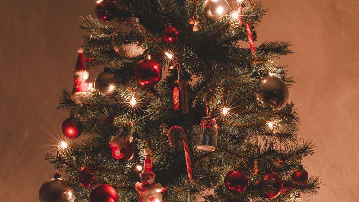 Immagine di Mille luci di Natale