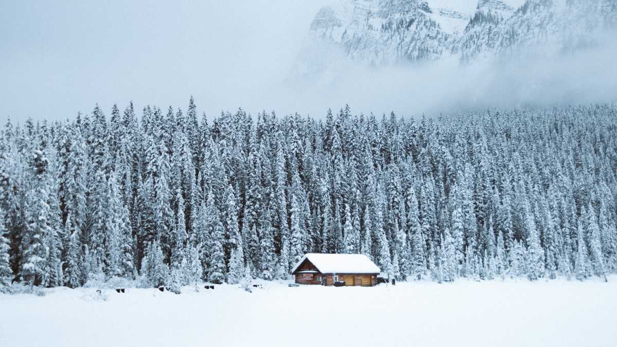 Immagine di Da Singer e Sendak uno sguardo sull’umanità pieno di speranza e nostalgia