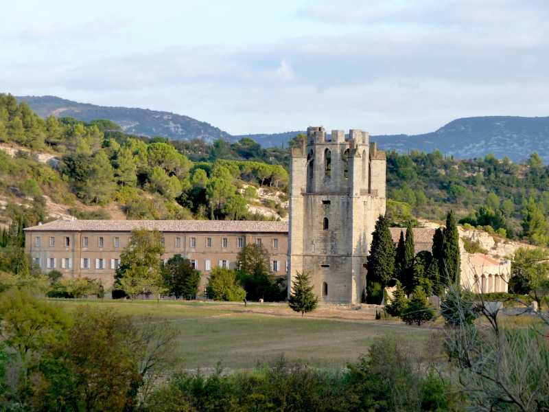  Wikimedia commons