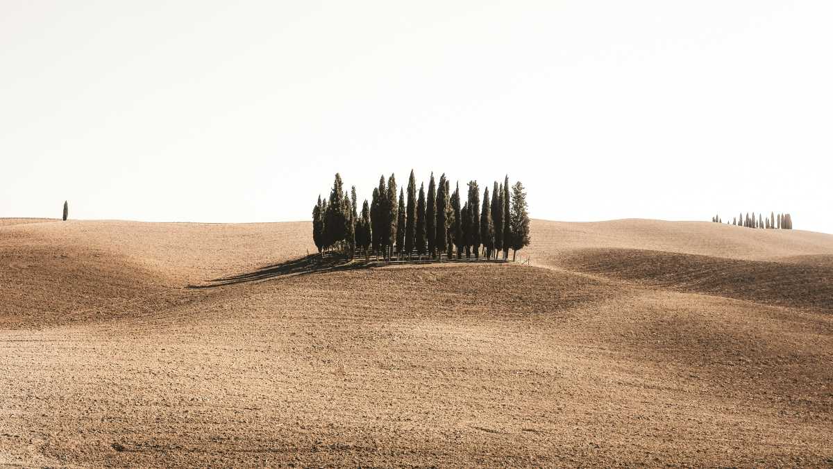 Immagine di È dalla fine della Grande guerra che non c'erano così pochi nati e così tanti morti