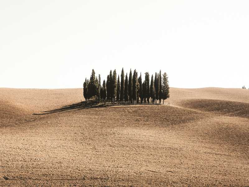 Cristina Gottardi via Unsplash <br />