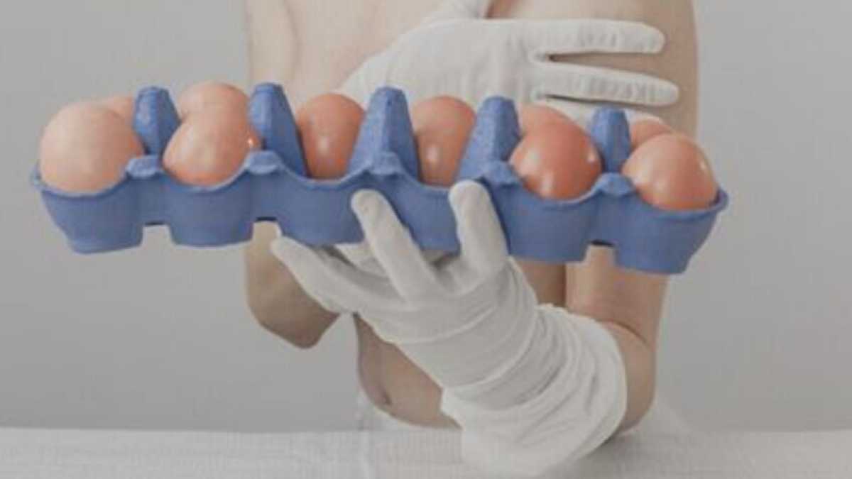 Immagine di Il ritorno di Chiara Gamberale è un romanzo fosco, ma liberatorio