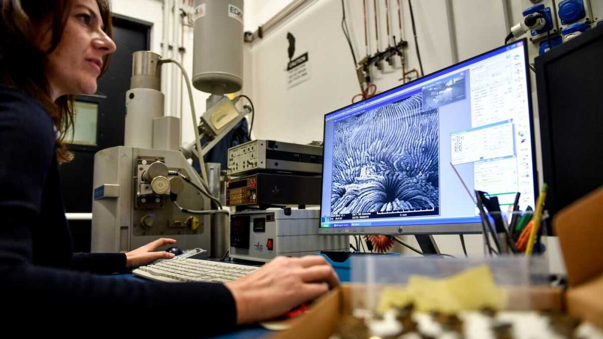 Immagine di La pazienza che ci vuole nella scienza e nel comunicarla