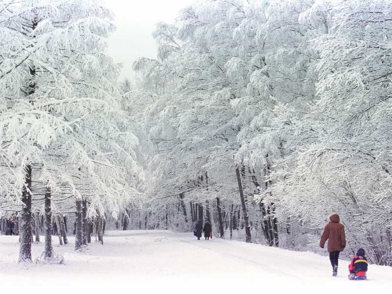 Il parco Izmaylovo di Mosca coperto di neve dopo una tempesta il 17 dicembre 2000 (foto di Oleg Nikishin/Getty Images) <br />