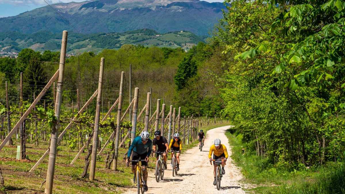 Immagine di La bicicletta è un romanzo collinare. L'Eroica nelle terre del prosecco