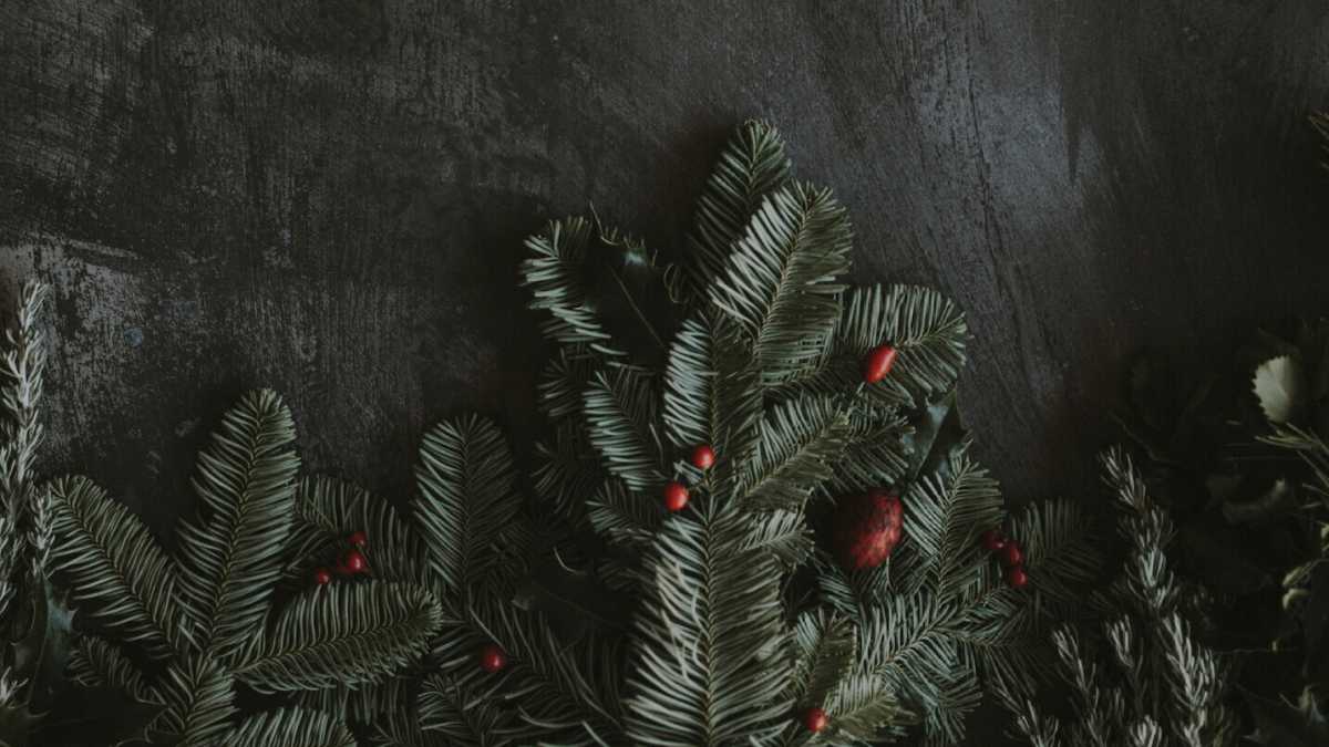 Immagine di Le liti di Natale prima erano sulla politica, ora sul vaccino. Consigli per non tirarsi il cotechino