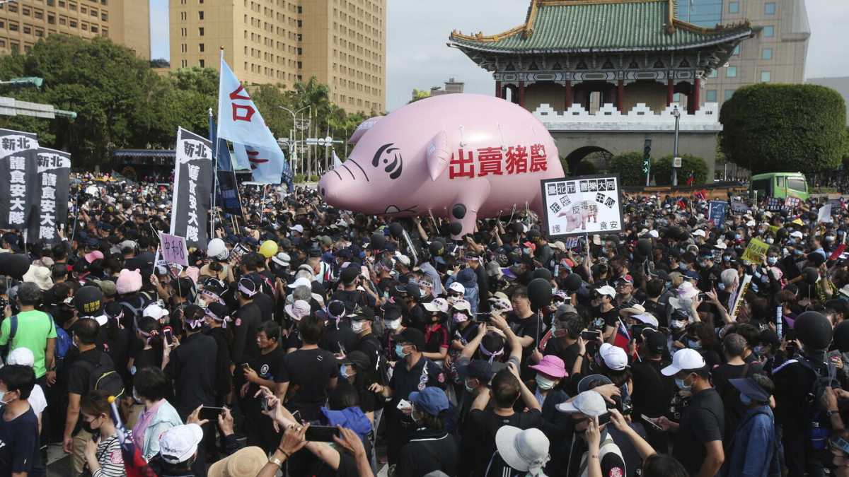 Immagine di Taiwan dà lezioni di democrazia e va al voto con un referendum (anche sul maiale cinese)