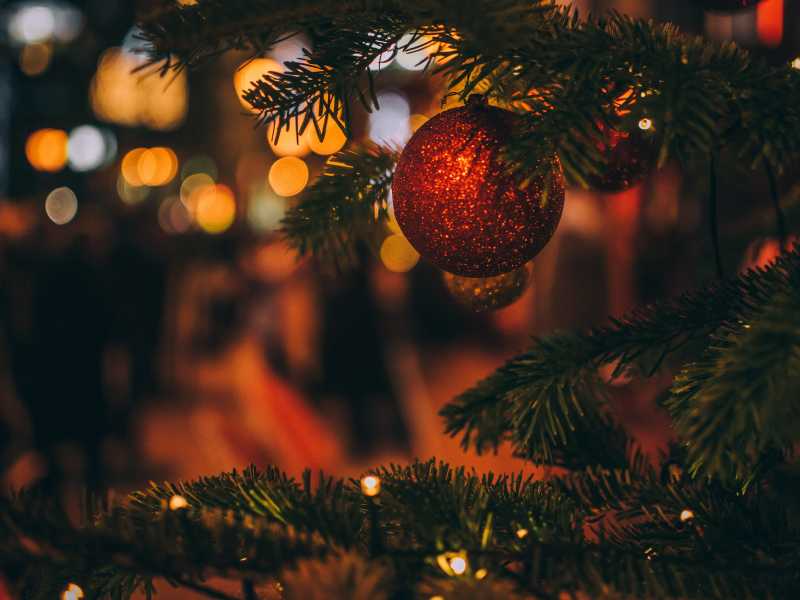 Photo by Szabo Viktor on Unsplash