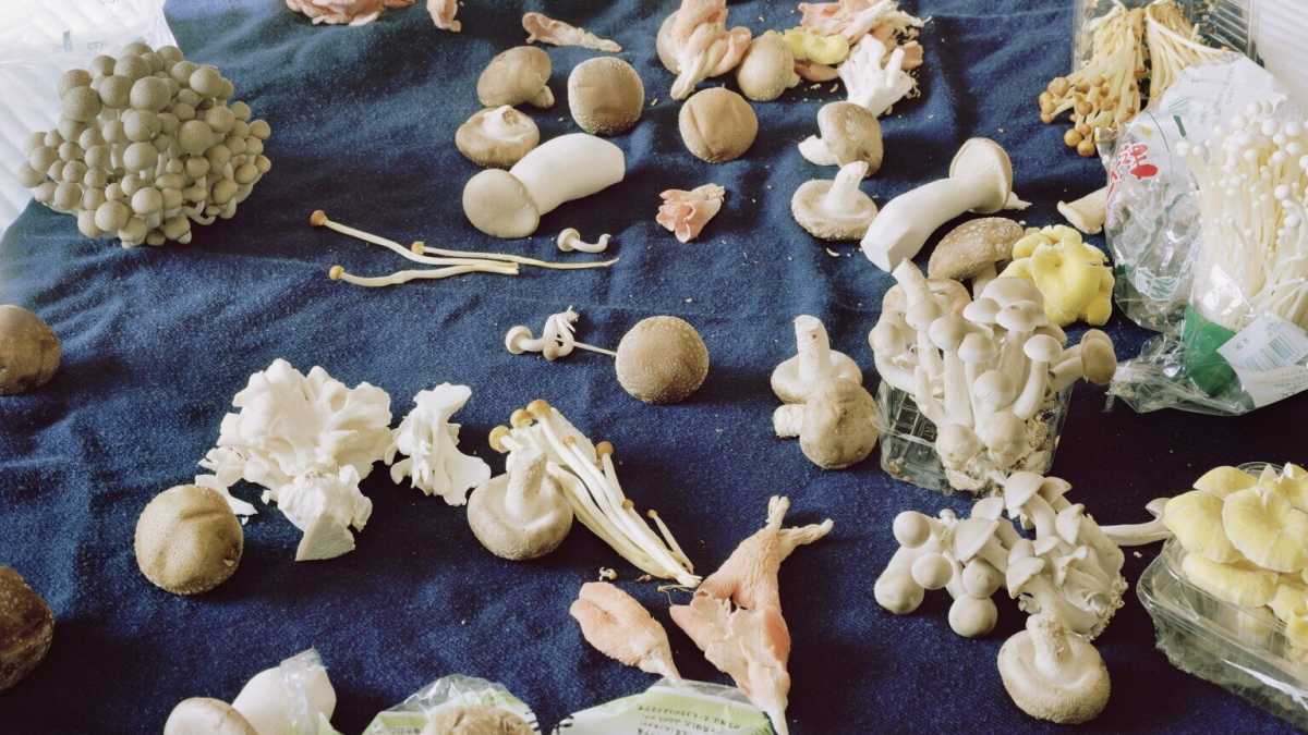 Immagine di La nuova mostra fotografica della Fondazione Pescheria di Pesaro