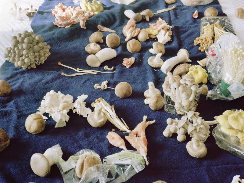 Opera di Graziani, presa dalla sito della Fondazione Pescheria di Pesaro&nbsp;<br />