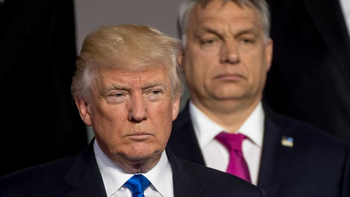 Immagine di Perché Trump è pazzo di Orbán
