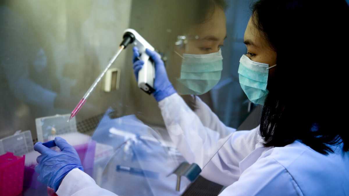 Immagine di Ecco un altro pasticcio di legge che  blocca la ricerca sulla salute