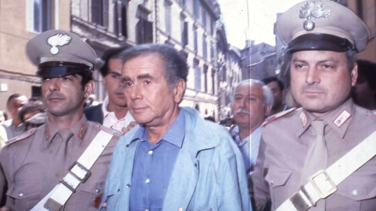 Immagine di La memoria di Tortora