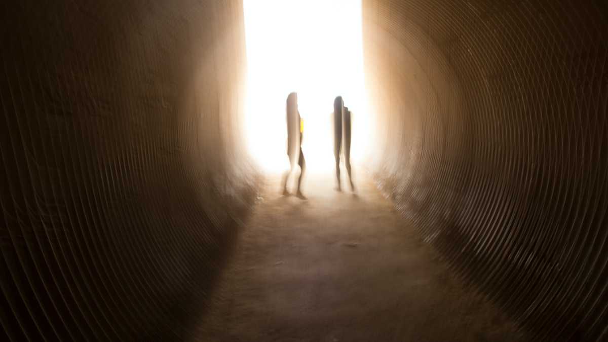 Immagine di La strada per uscire dalla pandemia