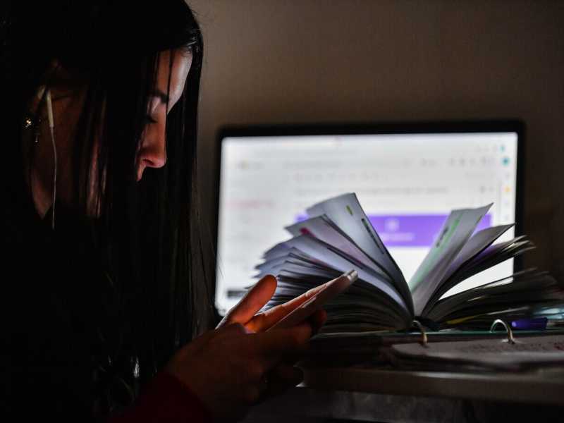 Una studentessa in dad (Foto Ansa)