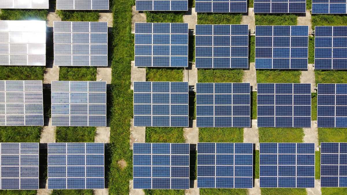 Immagine di Il caro energia pesa sugli agricoltori 36 miliardi. Un appello di Coldiretti