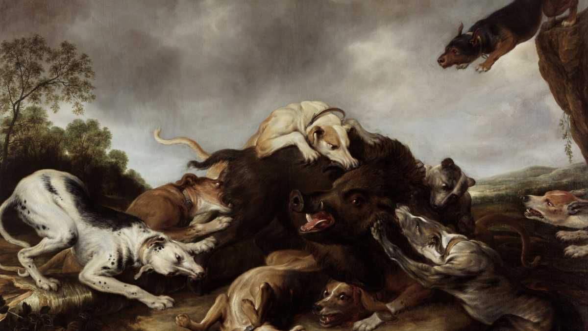 Immagine di Il ragù di cinghiale è un servizio alla comunità