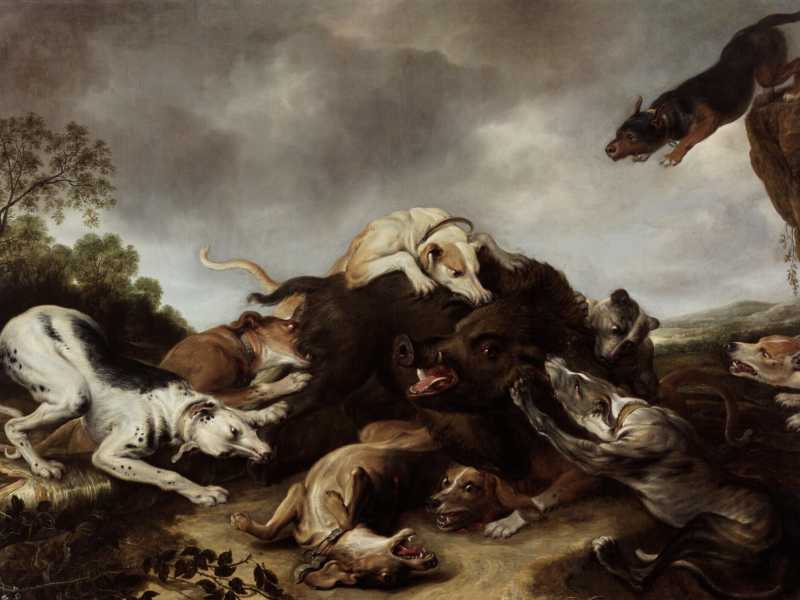 Frans Snyders, "La caccia al cinghiale", 1650 (Wikimedia Commons)&nbsp;