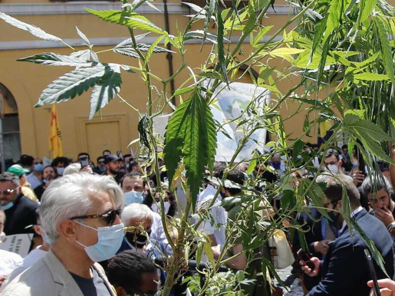 Manifestazione a Roma per la legalizzazione delle droghe leggere (Ansa)&nbsp;