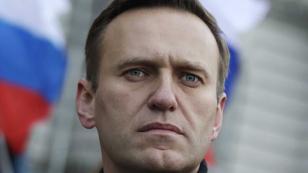 Immagine di Un anno senza Navalny
