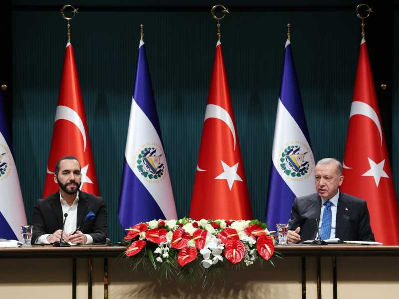 (Foto Ansa)