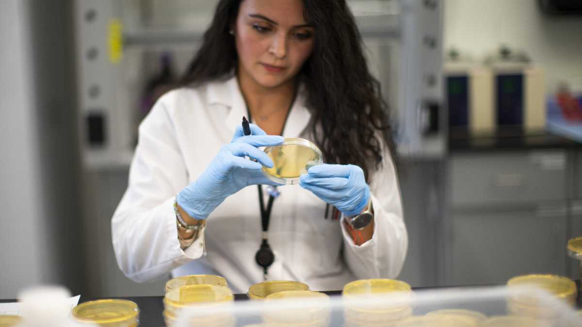 Immagine di Di chi fidarsi quando si parla di virus e vaccini