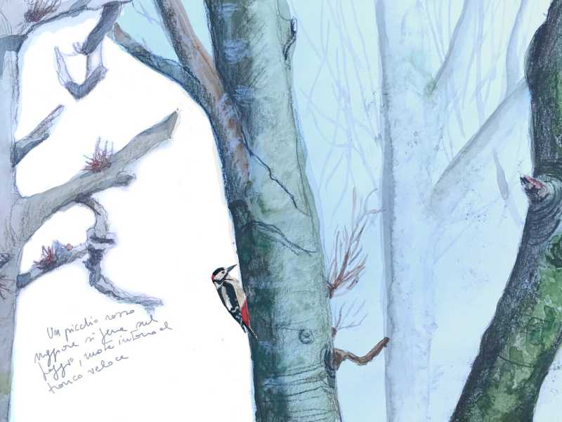Illustrazione di Elisabetta Mitrovic<br />