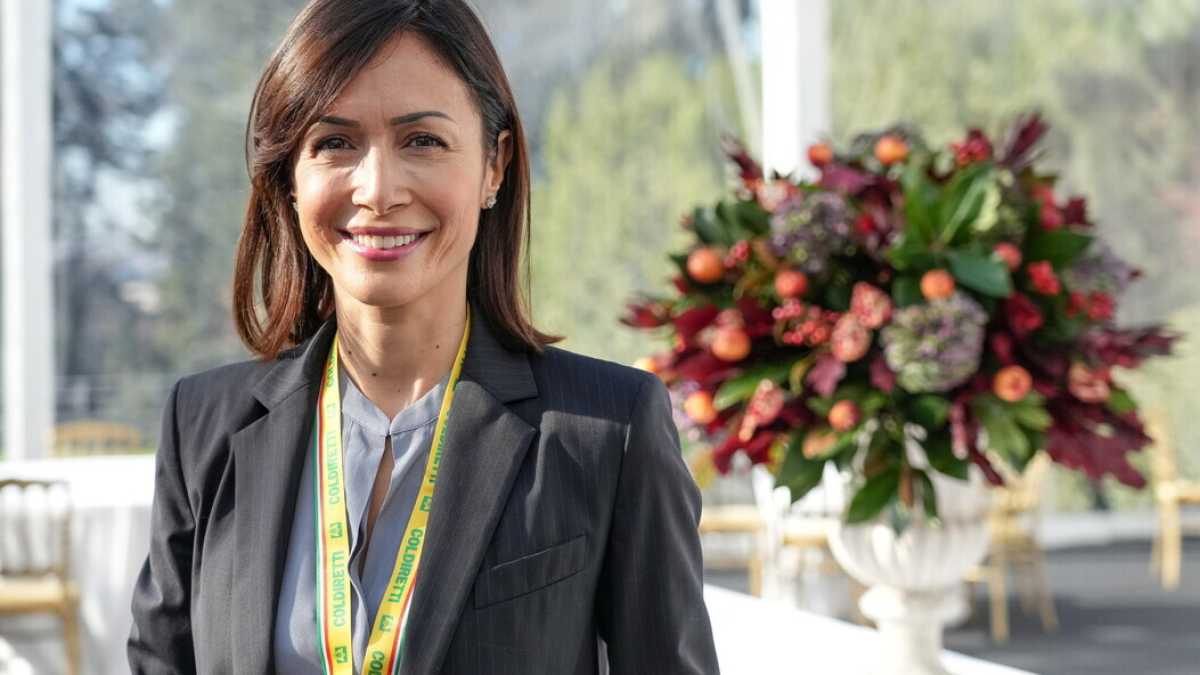 Immagine di Carfagna: "Non si può costruire un nuovo centrodestra contro il metodo Draghi"