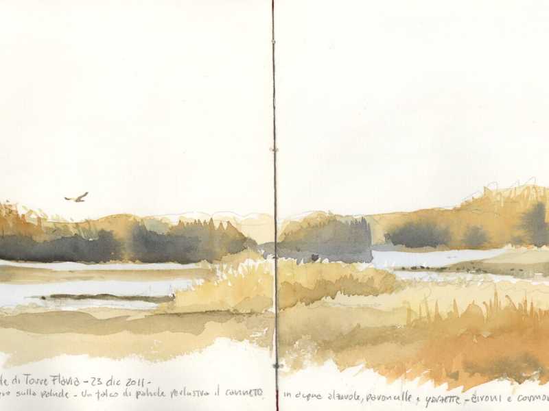 illustrazione di Federico Gemma
