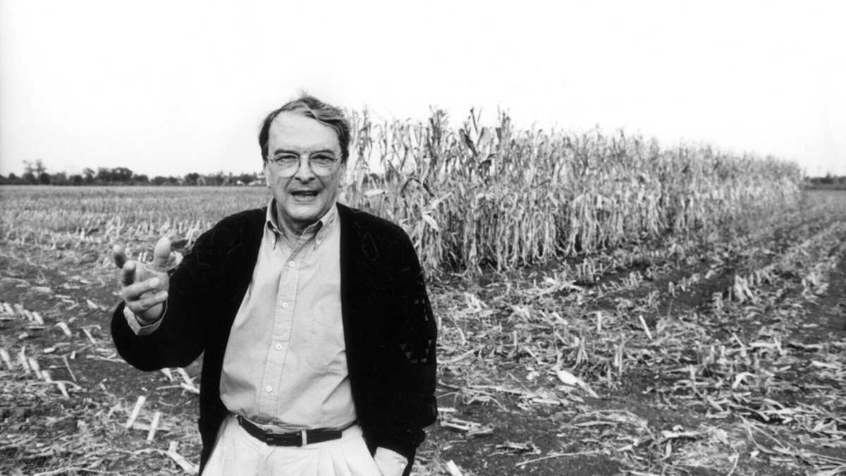 Immagine di Cent'anni di Luigi Meneghello, con parole sue
