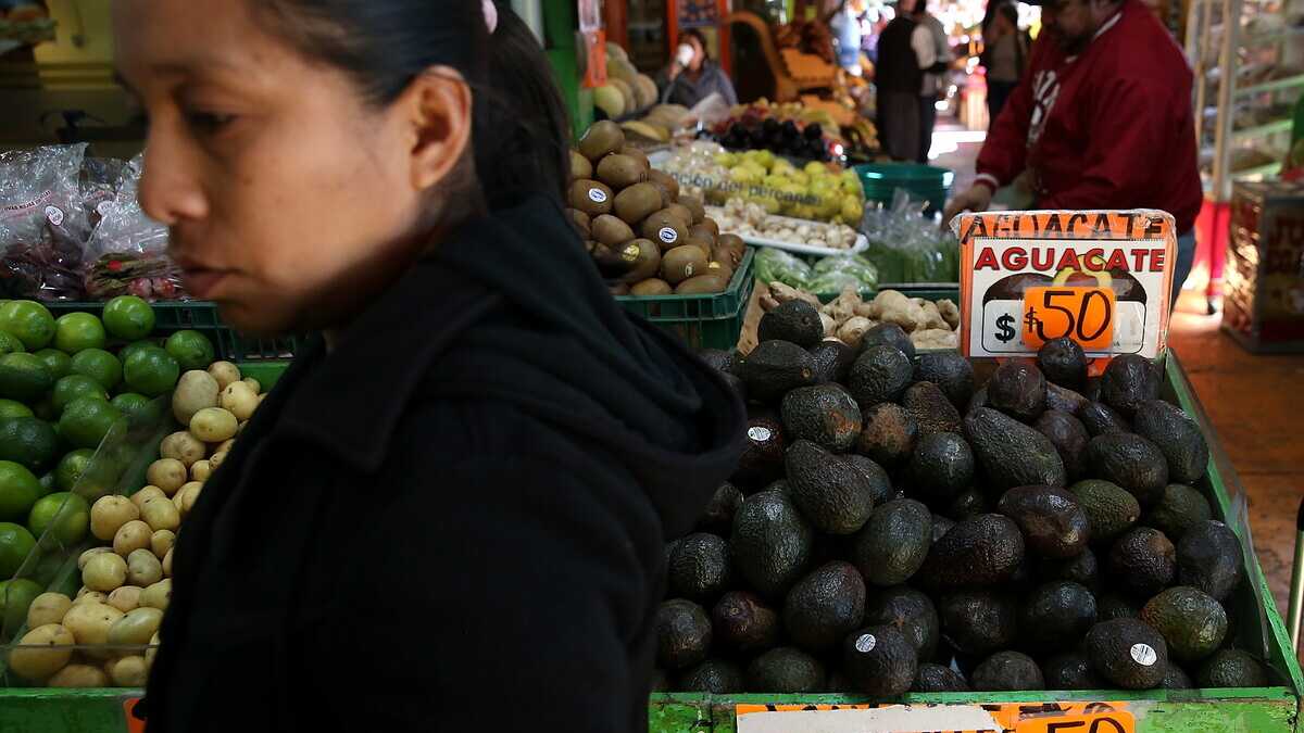 Immagine di Americani e messicani si minacciano e l’amato avocado finisce sotto scorta