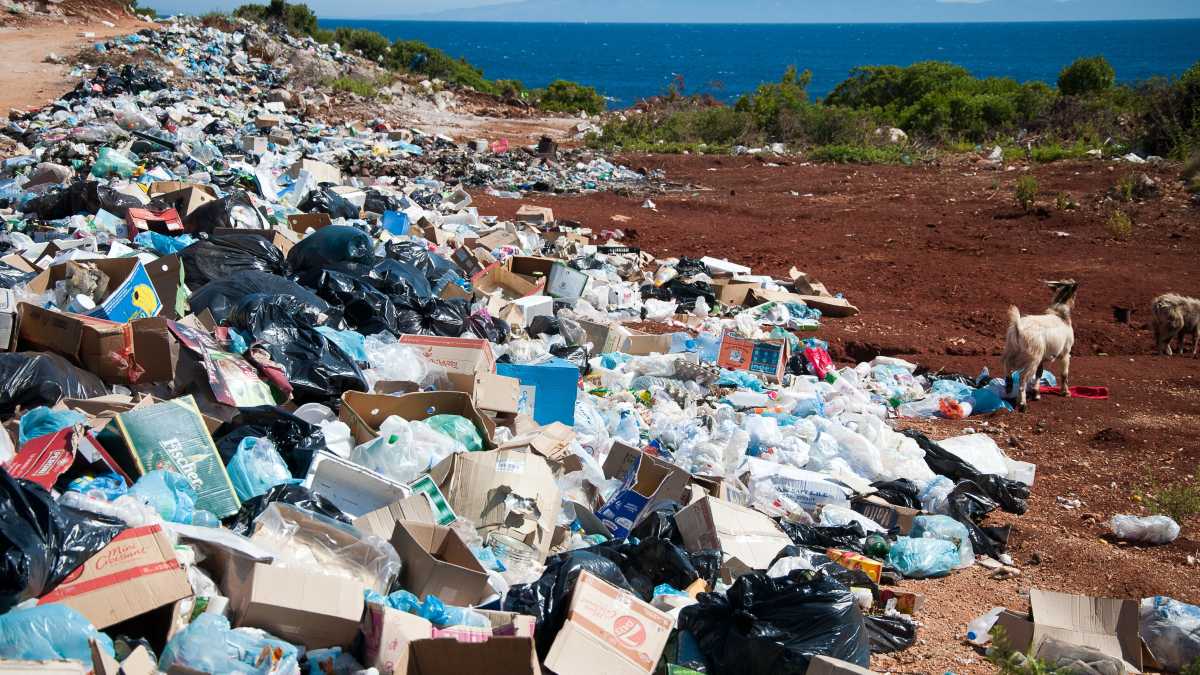 Immagine di Biometano e idrogeno, il riscatto della monnezza