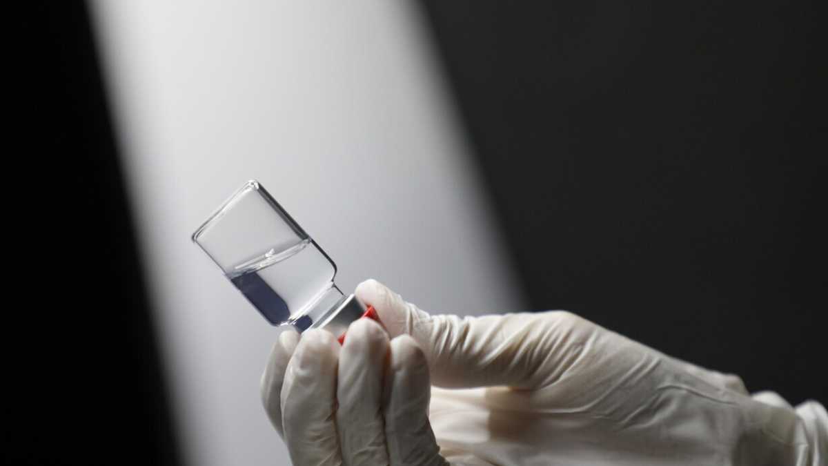 Immagine di Il virus si evolve in un ecosistema ampio, cervi inclusi. Uno studio