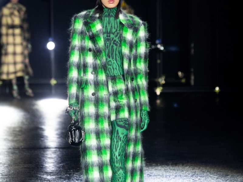 Cavalli <br />