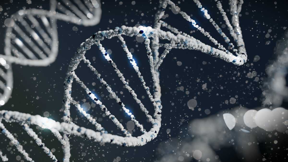 Immagine di Una nuova tecnica di analisi del Dna dimostra che le nostre radici genetiche sono africane