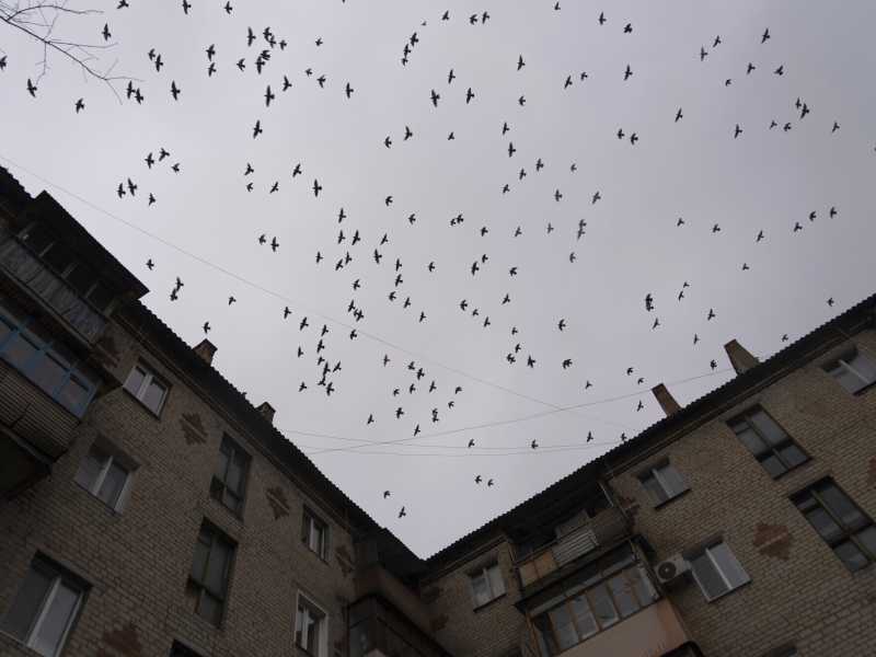 Foto LaPresse / Mstyslav Chernov&nbsp;<br />
