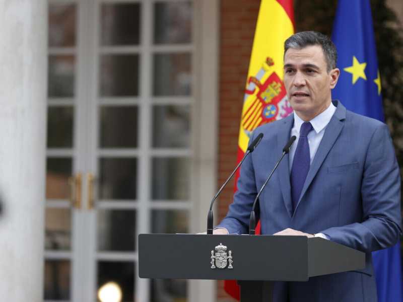 Pedro Sanchez, il premier spagnolo (Ansa)
