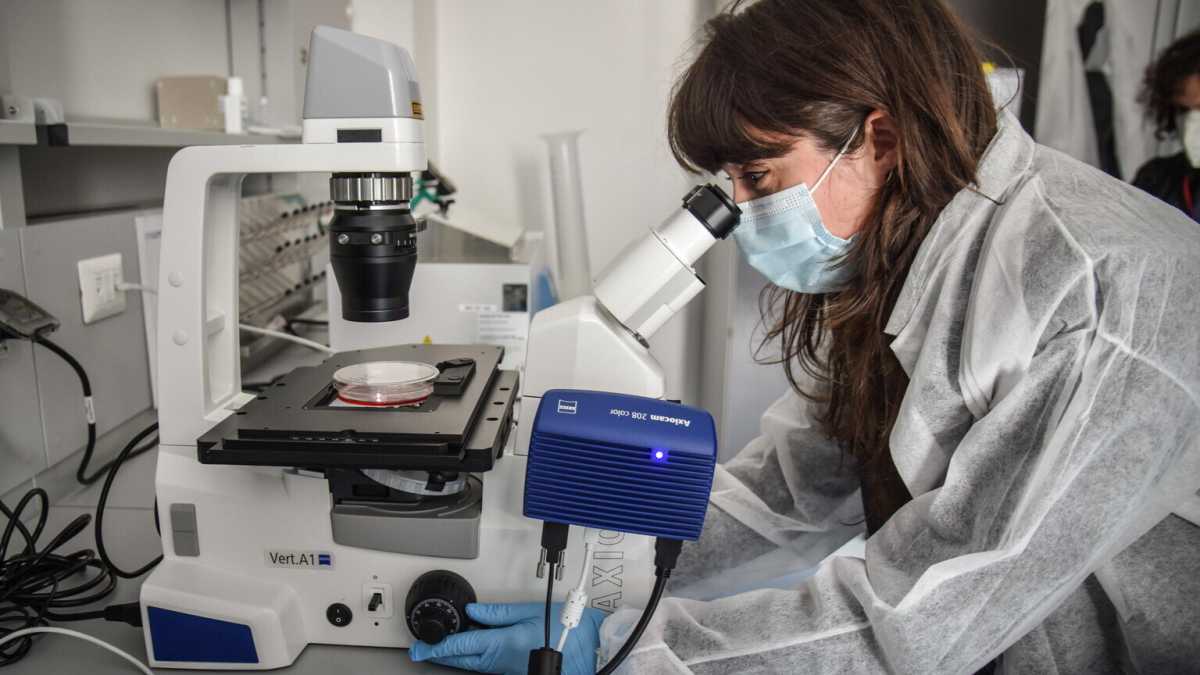 Immagine di Il virus creato in laboratorio? Ma dove sono le basi scientifiche