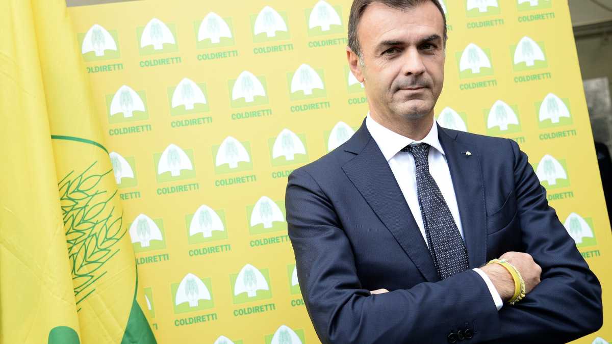 Immagine di "Per grano e mais serve una risposta europea". Parla il presidente di Coldiretti