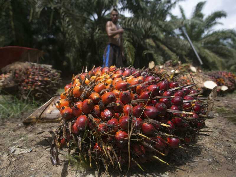 Foto LaPresse / Binsar Bakkara <br />&nbsp;<br />