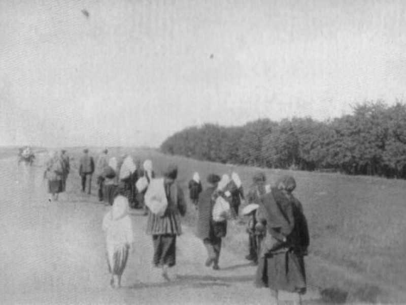Foto Wikimedia commons