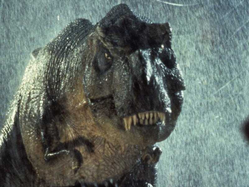 Jurassic Park, film del 1993 diretto da Steven Spielberg, basato sull'omonimo romanzo scritto da Michael Crichton. <br />