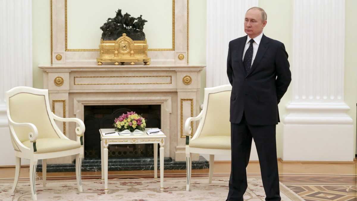 Immagine di Putin non è certo un genio