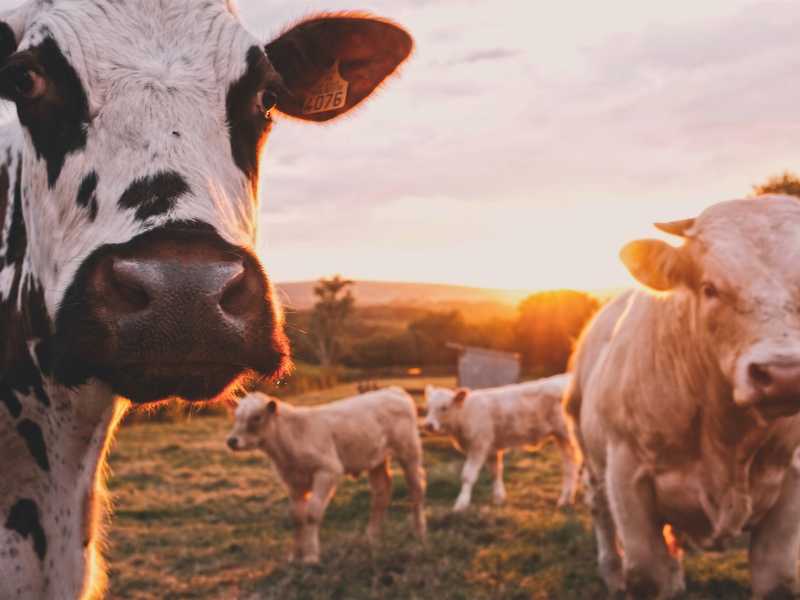 Photo by Stijn te Strake on Unsplash<br /> <br />